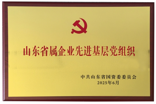 喜訊！公司黨支部榮獲“山東省屬企業(yè)先進(jìn)基層黨組織”稱(chēng)號(hào)